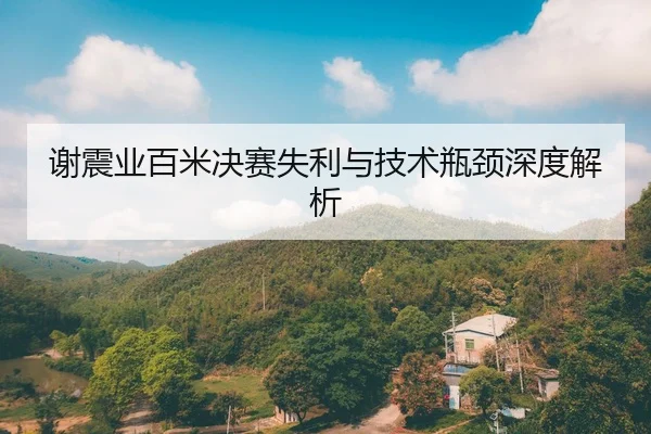 谢震业百米决赛失利与技术瓶颈深度解析